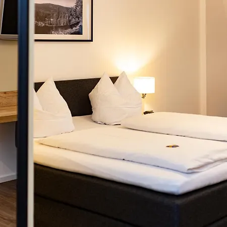 Hotel Koenigshof 3*